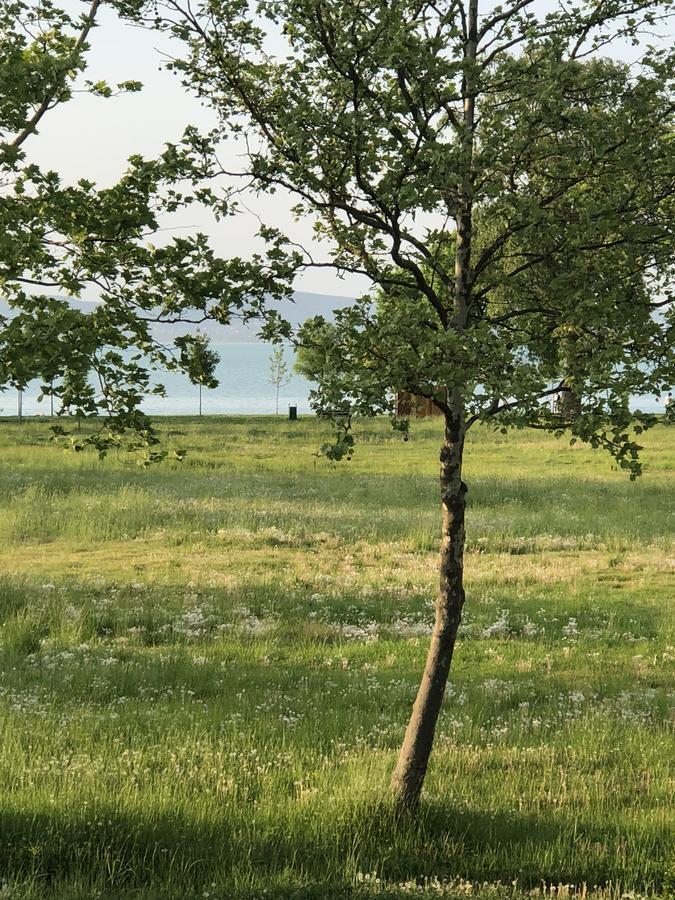 Appartamento Relax Apartman Zamárdi Esterno foto